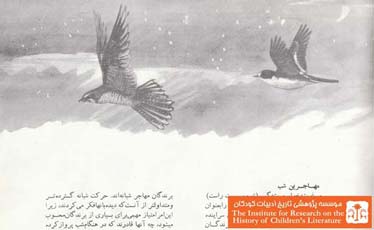 مهاجرت پرندگان (۱۳)