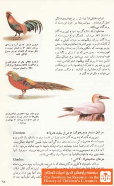 پرندگان (۳۵)