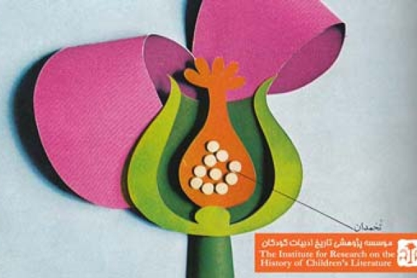 بچه  چطور به دنیا می آید؟(۱۰)