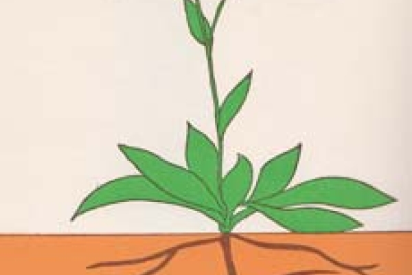 روی‌ زم‍ی‍ن‌ و زی‍ر زم‍ی‍ن‌ (۶)